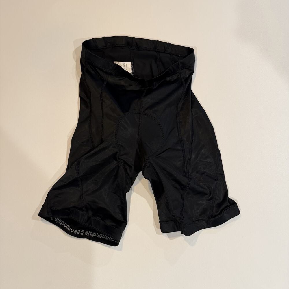 Cannondale Chrono 10 Panel Cycling Shorts Men’s Sz Large Padded USA - Picture 7 of 7